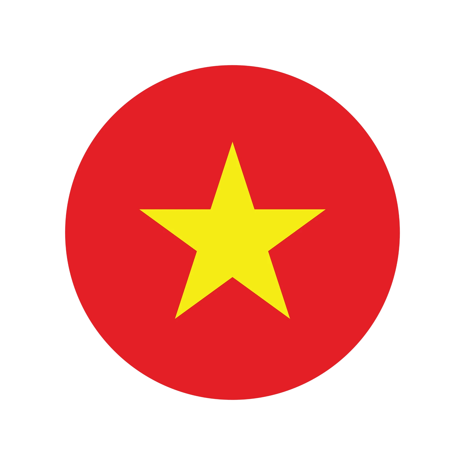 vn flag