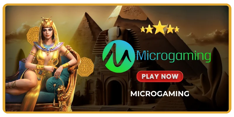 MicroGaming